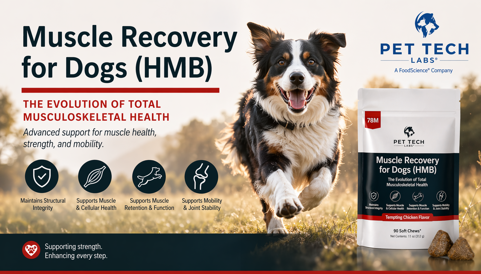 PTL - Muscle Recovery Product